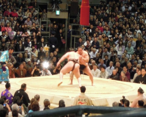 20 相撲観戦②