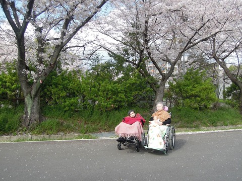 4月6日　散歩