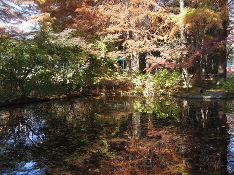 水面に映る紅葉