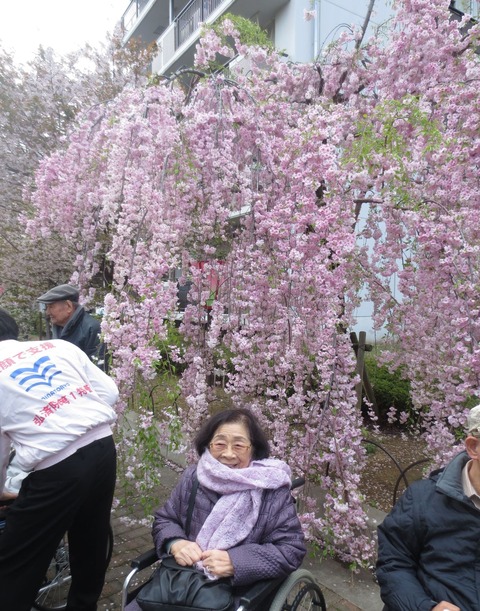 見事なしだれ桜の下でにっこりK氏