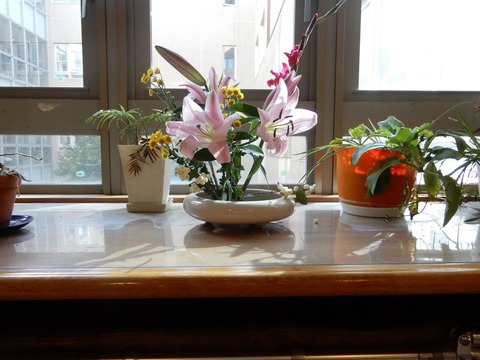 ikebana